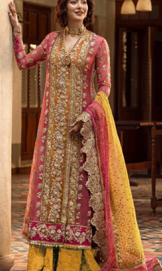 DINSAA SUITS 195 PAKISTANI SUITS MANUFACTURER IN SURATDINSAA SUITS 195 PAKISTANI SUITS MANUFACTURER IN SURAT