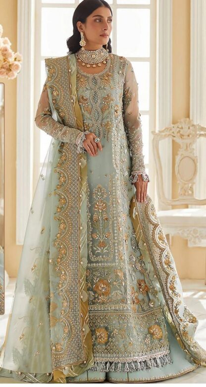 RAMSHA R 595 PAKISTANI GOWN AT BEST PRICE