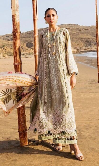 ANAMSA 529 PAKISTANI SUITS LATEST COLLECTION