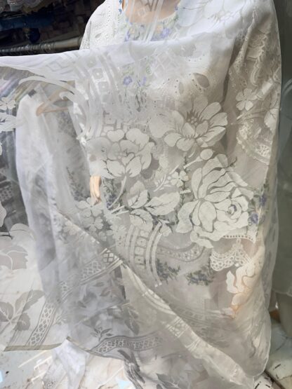 COSMOS AAYRA LUXURY EID COLLECTION PAKISTANI SUITS IN SURAT - Image 8