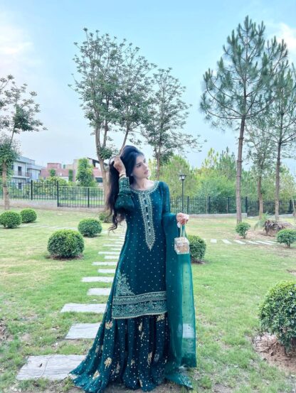 AD209 TOP DUPATTA & PLAZZO SET WHOLESALE PRICE AD195 GEORGETTE GOWN, AD209, BEST QUALITY PAKISTANI SUITS, ONLINE SHOPPING SUITS, PAKISTANI SALWAR KAMEEZ, PAKISTANI SUITS AT MANUFACTURER PRICE, PAKISTANI SUITS BEST PRICE, PAKISTANI SUITS IN SURAT, PAKISTANI SUITS ONLINE SHOPPING  AD, ANAMSA, PLAZZO, READYMADE, Single, Suits, VRINDAVAN FASHION