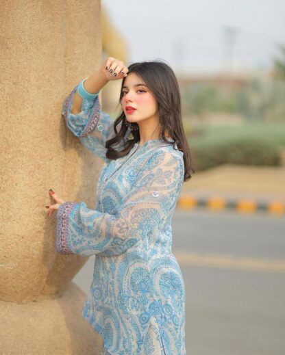 PD1112 SIFON GEORGETTE FARSI PLAZZO SET AT SINGLE PIECE PD1112 SIFON GEORGETTE, SALWAR KAMEEZ WHOLESALER  CO ORD SET, PD, PLAZZO, Single, Suits