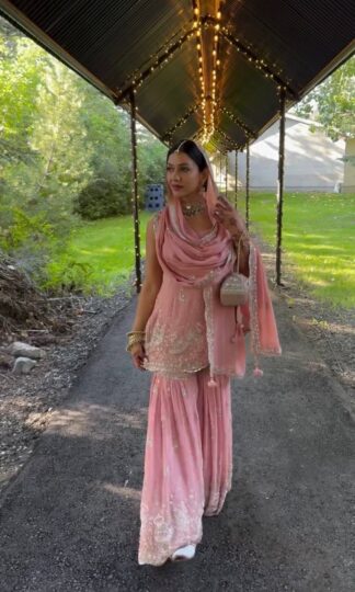 AD 215 DESIGNER PARTY WEAR HEAVY SUITSAD 215 DESIGNER PARTY WEAR HEAVY SUITS