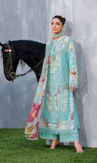 AMRUTVELA 1501 ELAF PAKISTANI SUITS ONLINE SHOPPING IN INDIAAMRUTVELA 1501 ELAF PAKISTANI SUITS ONLINE SHOPPING IN INDIA