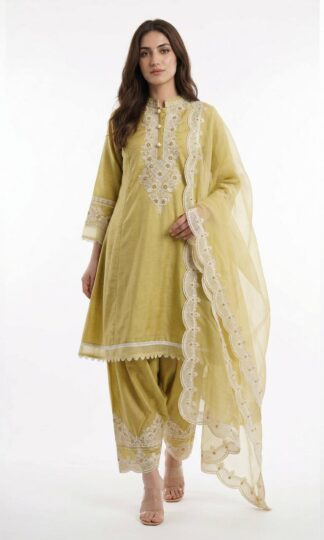 BE 497 PAKISTANI SALWAR SUITS ONLINE COLLECTIONBE 497 PAKISTANI SALWAR SUITS ONLINE COLLECTION